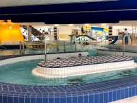 Termální bazén v Aquacentru Teplice, https://www.krusnohorci.cz/vylet/97-aquacentrum---plavecka-hala-v-teplicich-v-novem