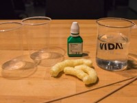 https://vida.cz