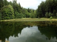 https://cs.wikipedia.org/wiki/Rybn%C3%ADk_u_Králova_mlýna#/media/Soubor:Natural_monument_Rybn%C3%ADk_u_Králova_mlýna_in_summer_2014_(14).JPG