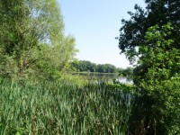 By Palickap - Own work, CC BY-SA 4.0, https://commons.wikimedia.org/w/index.php?curid=136230391